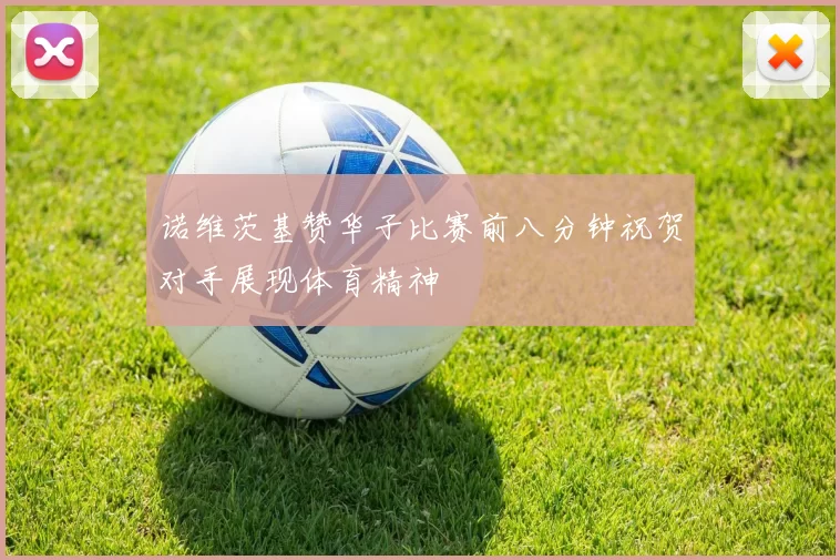 诺维茨基赞华子比赛前八分钟祝贺对手展现体育精神